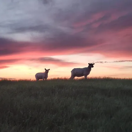 Haus Jadehuus Schweiburg