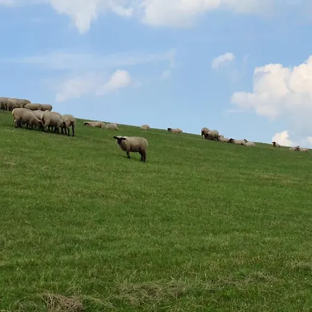 Haus Jadehuus Casa vacanze *